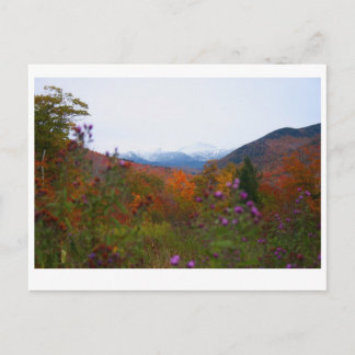 New Hampshire Vykort