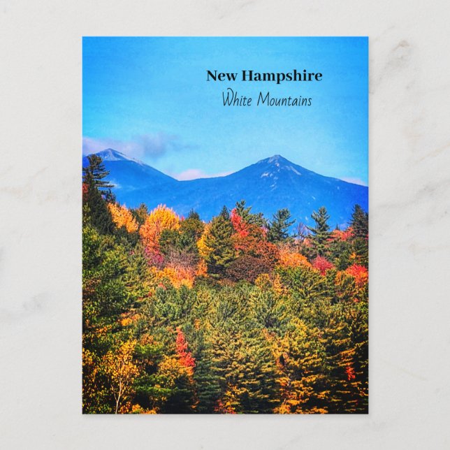 New Hampshire White-bergen Vykort (Framsida)