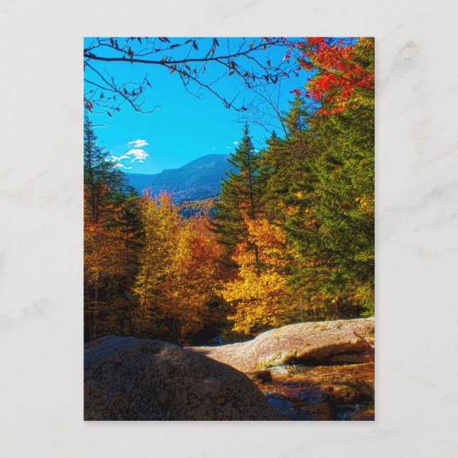 New Hampshire White Mountains Autumn Scene 2013 Vykort (Framsida)