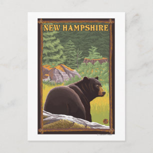 New HampshireBlack Bear i Forest Vykort