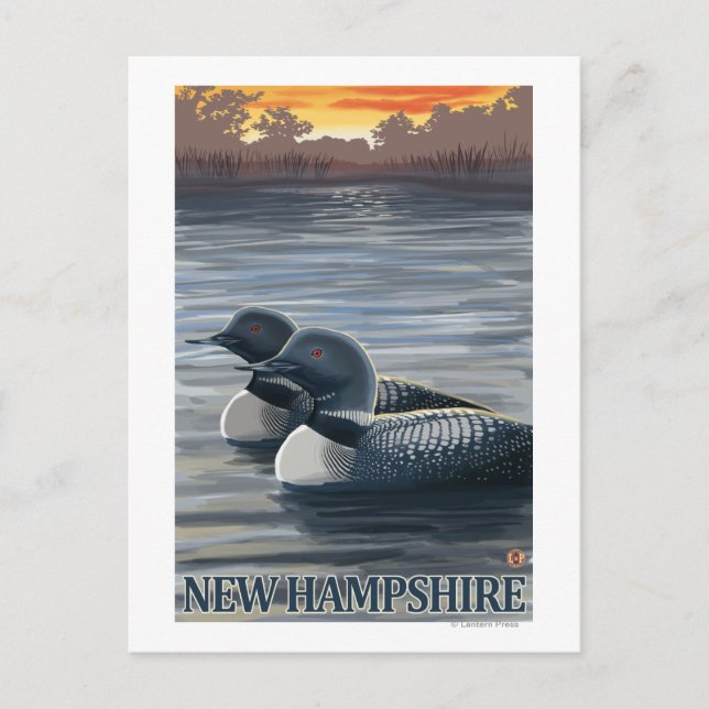New HampshireCommon Loon Vykort (Framsida)