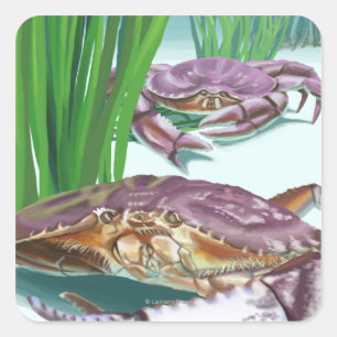 New HampshireCrab och Fisherman Fyrkantigt Klistermärke