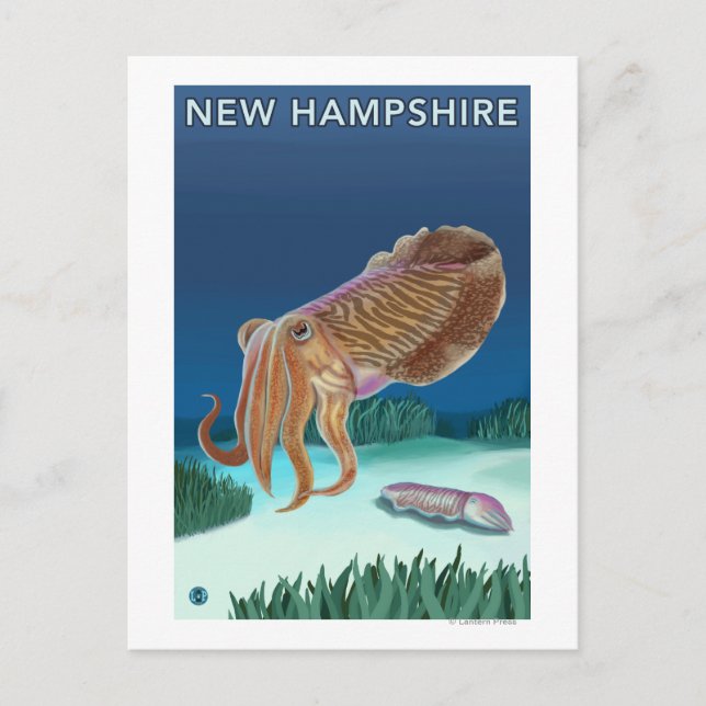 New HampshireCuttlefish Scene Vykort (Framsida)