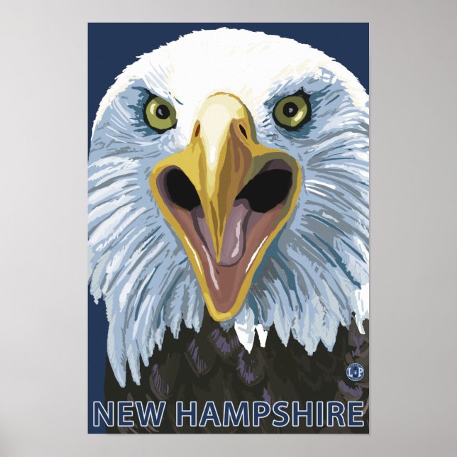 New HampshireEagle Up Close Poster (Framsidan)