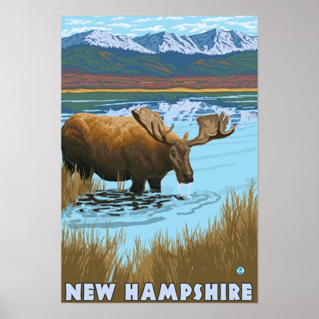 New HampshireMoose Drinking i Sjö Poster (Framsidan)