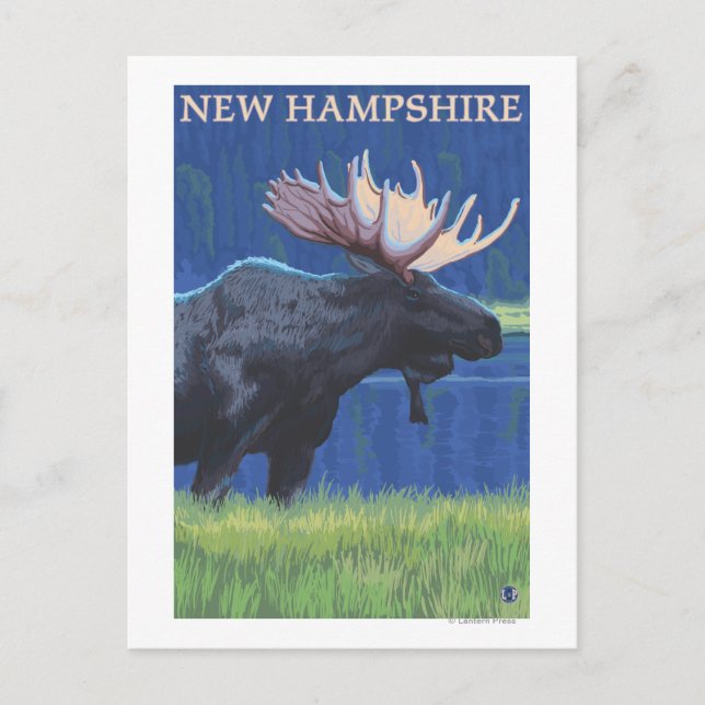 New HampshireMoose i Moonlight Vykort (Framsida)