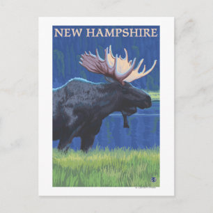 New HampshireMoose i Moonlight Vykort