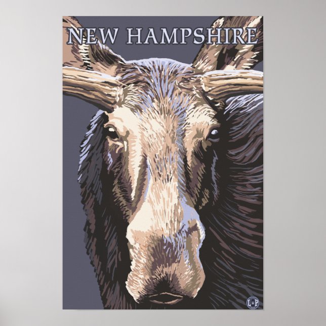 New HampshireMoose Up Close Poster (Framsidan)