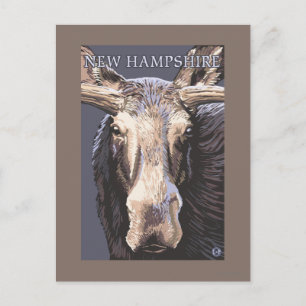 New HampshireMoose Up Close Vykort