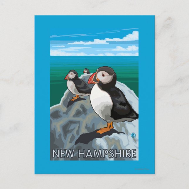 New HampshirePuffins Scene Vykort (Framsida)