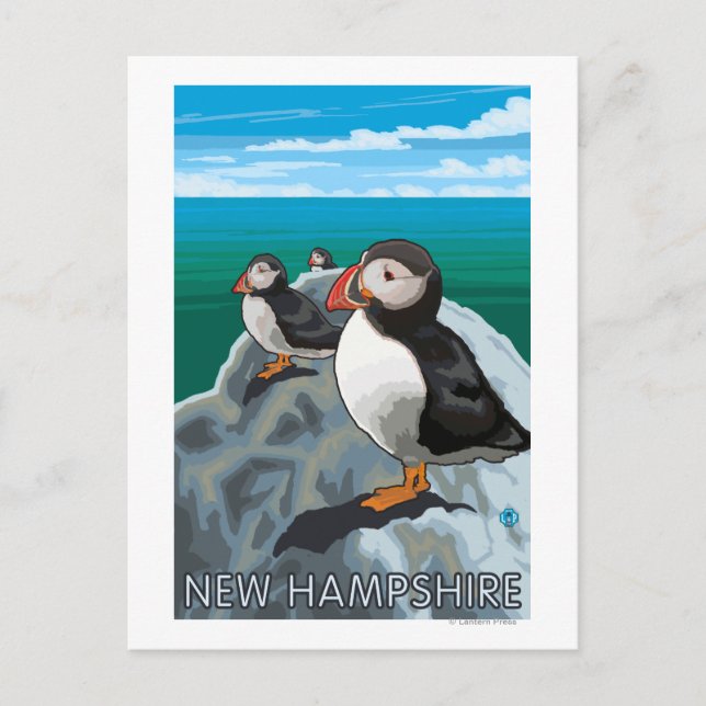 New HampshirePuffins Scene Vykort (Framsida)