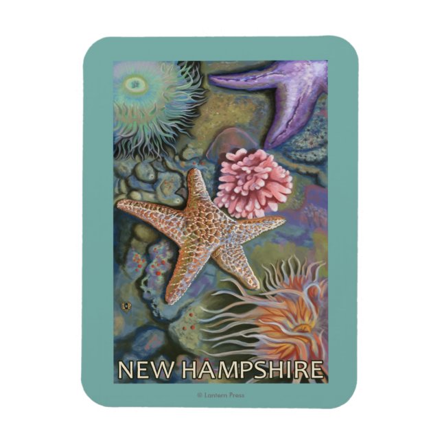 New HampshireTidepool Scene Magnet (Vertikal)