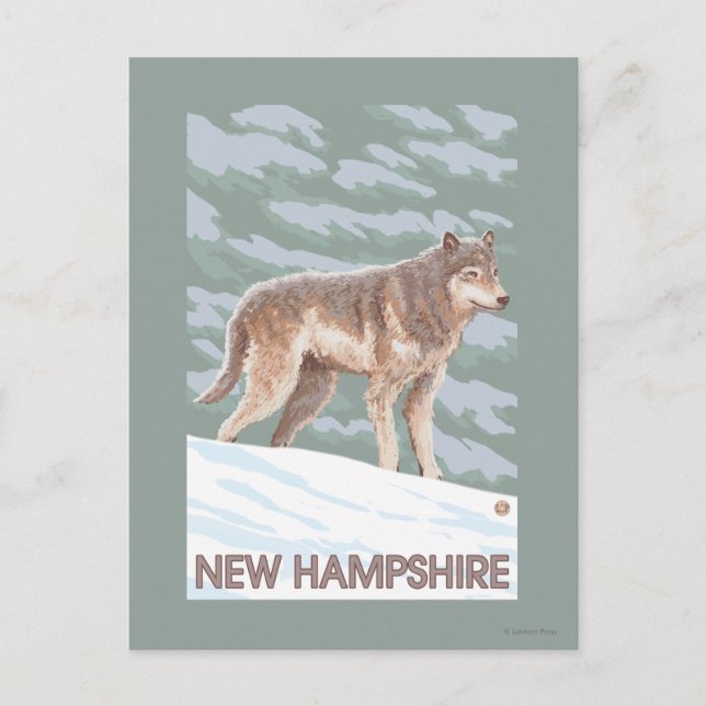 New HampshireWolf Scene Vykort (Framsida)