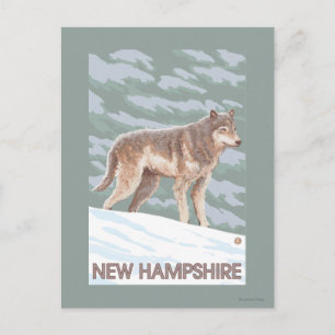 New HampshireWolf Scene Vykort