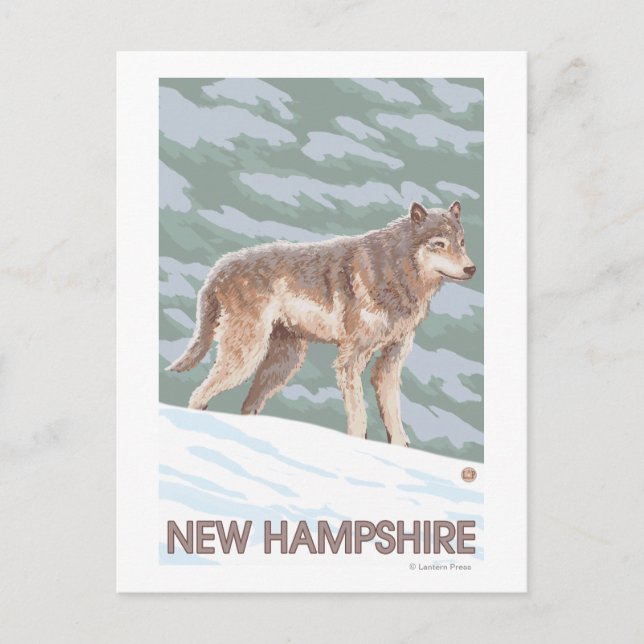 New HampshireWolf Scene Vykort (Framsida)