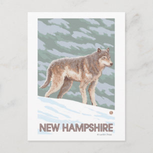New HampshireWolf Scene Vykort