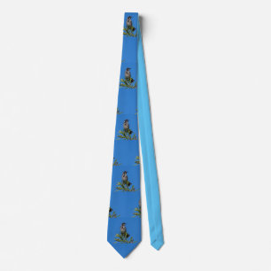 New Holland Honeyeater Slips