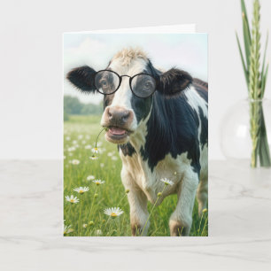 New House Holstein Cow Kort