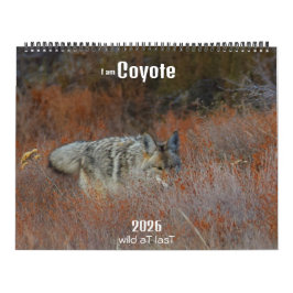 New! 'I am Coyote' 2026 calendar Kalender