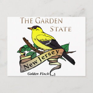 new jersey Garden State Golden Finch Vykort