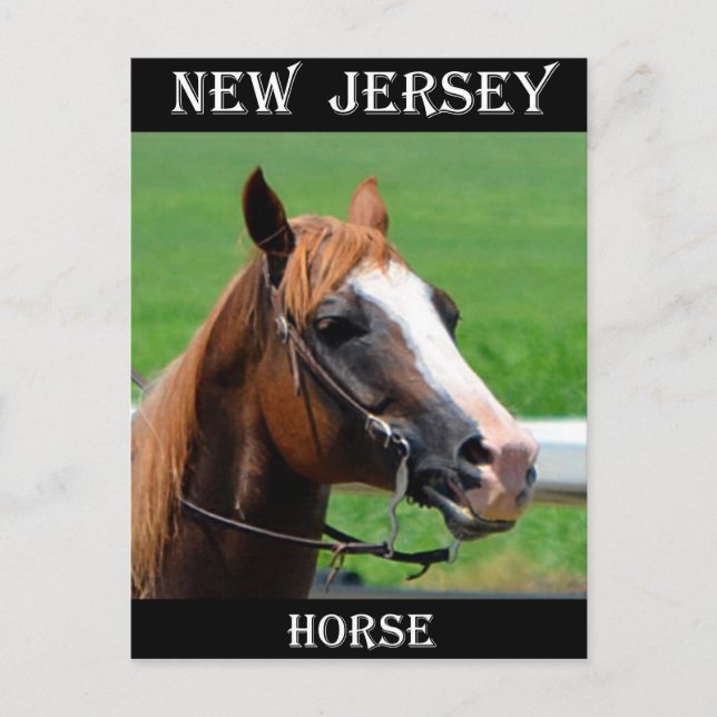 new jersey Horse Vykort (Framsida)