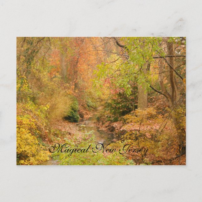 New jersey i Fall Vykort (Framsida)
