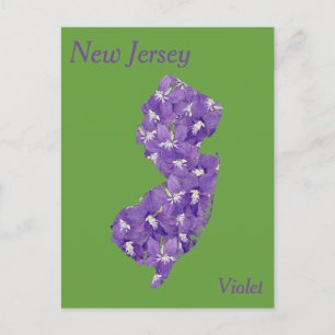 New Jersey State Blomma Collage Karta Vykort
