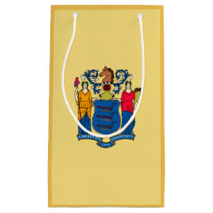 New jersey Statlig flagga design