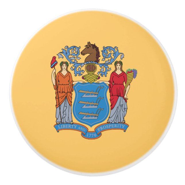 New jersey Statlig flagga Knopp (Framsidan)
