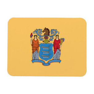 New jersey Statlig flagga Magnet
