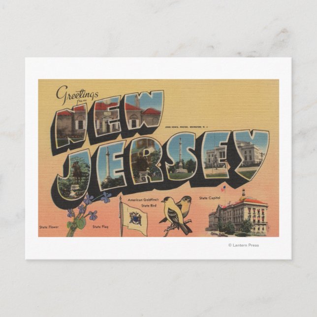 New jersey (statligt kapital/blomma/fåglar) vykort (Framsida)