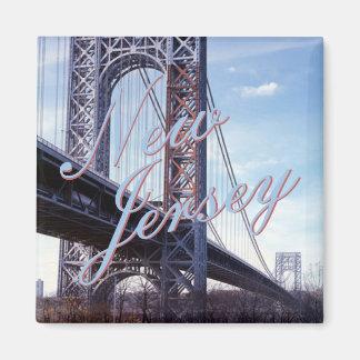 New jersey USA: delstat Souvenir Fridge Magnet