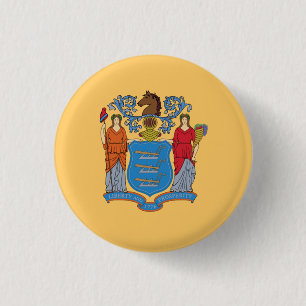 New Jerseyan Flagga, Flagga i New jersey Knapp