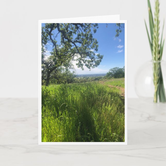 New Life - 1 Kort (Framsida)