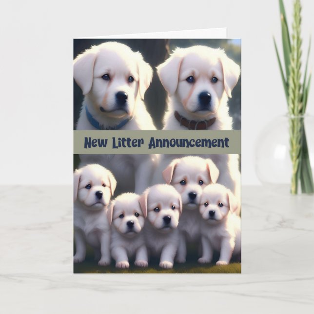 New Litter Notification White Hundar Tack Kort (Framsida)