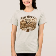 New Mexico Desert Soul Route 66 Varm luftballong 