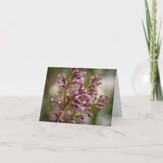 New Mexico Garden Tack Kort