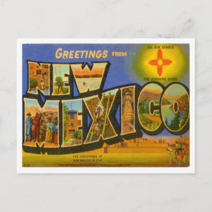 New mexico Hälsning från USA Stater Vykort