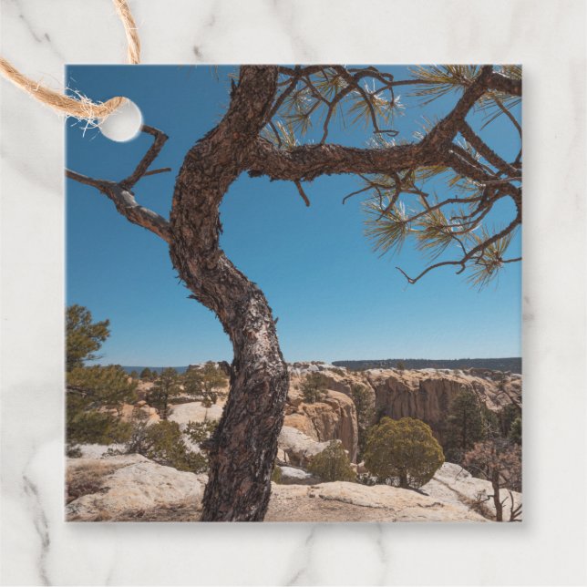 New mexico liggande foto gåvor etiketter (Framsida)