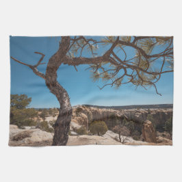 New mexico liggande foto kökshandduk