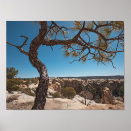 New mexico liggande foto poster