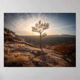 New mexico liggande foto poster