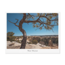 New mexico liggande foto