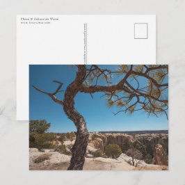 New mexico liggande foto vykort