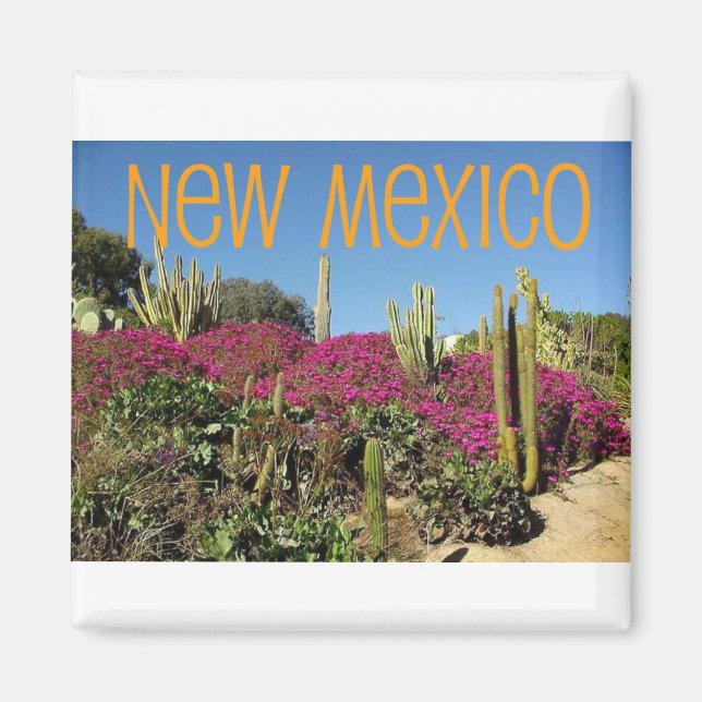 New mexico magnet (Framsidan)