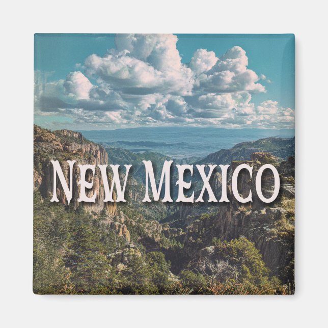 New Mexico Magnet (Framsidan)