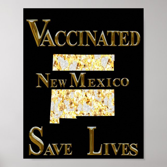 NEW MEXICO POSTER (Framsidan)