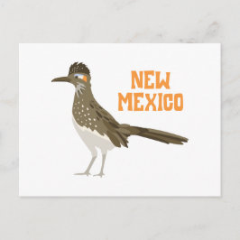new mexico Roadrunner Vykort