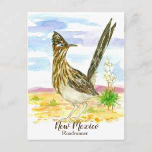 New mexico State Bird Roadrunner Yucca Vykort