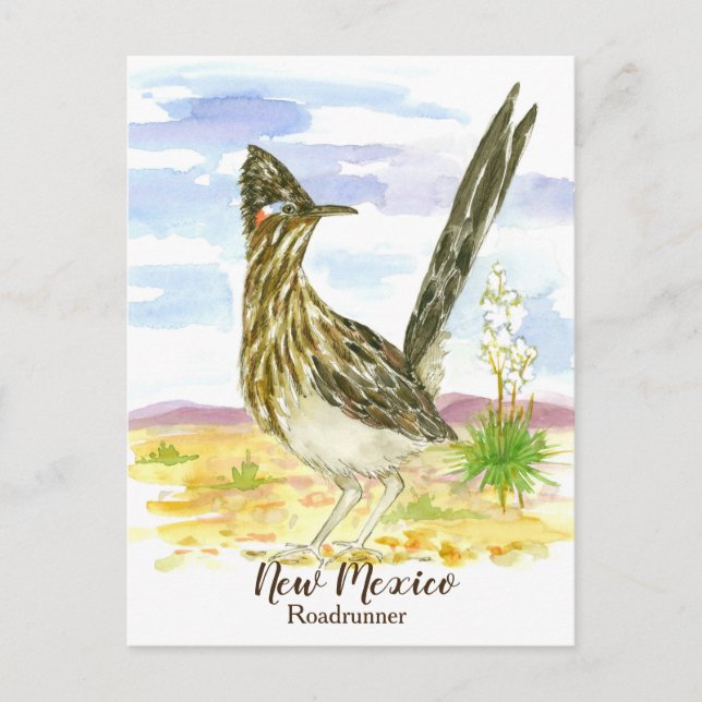 New mexico State Bird Roadrunner Yucca Vykort (Framsida)
